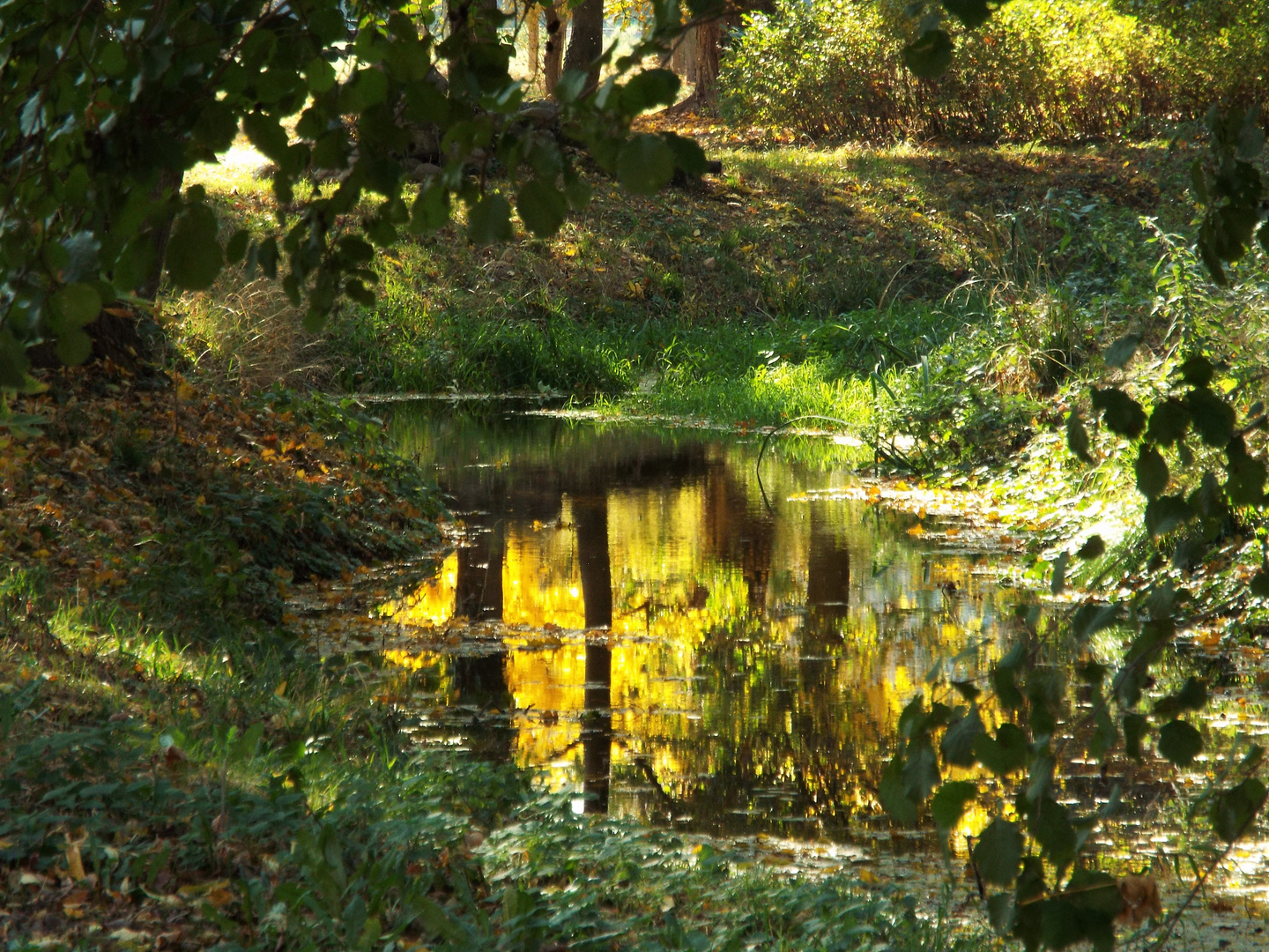 Herbstlich