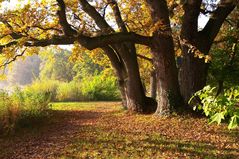 Herbstlich