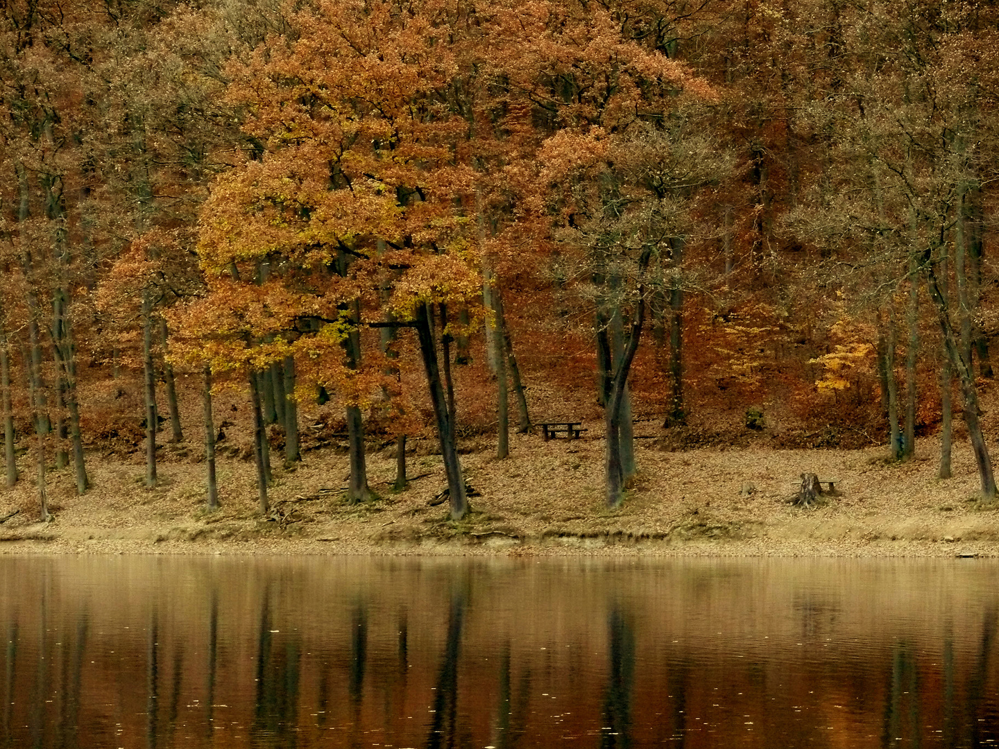 Herbstlich