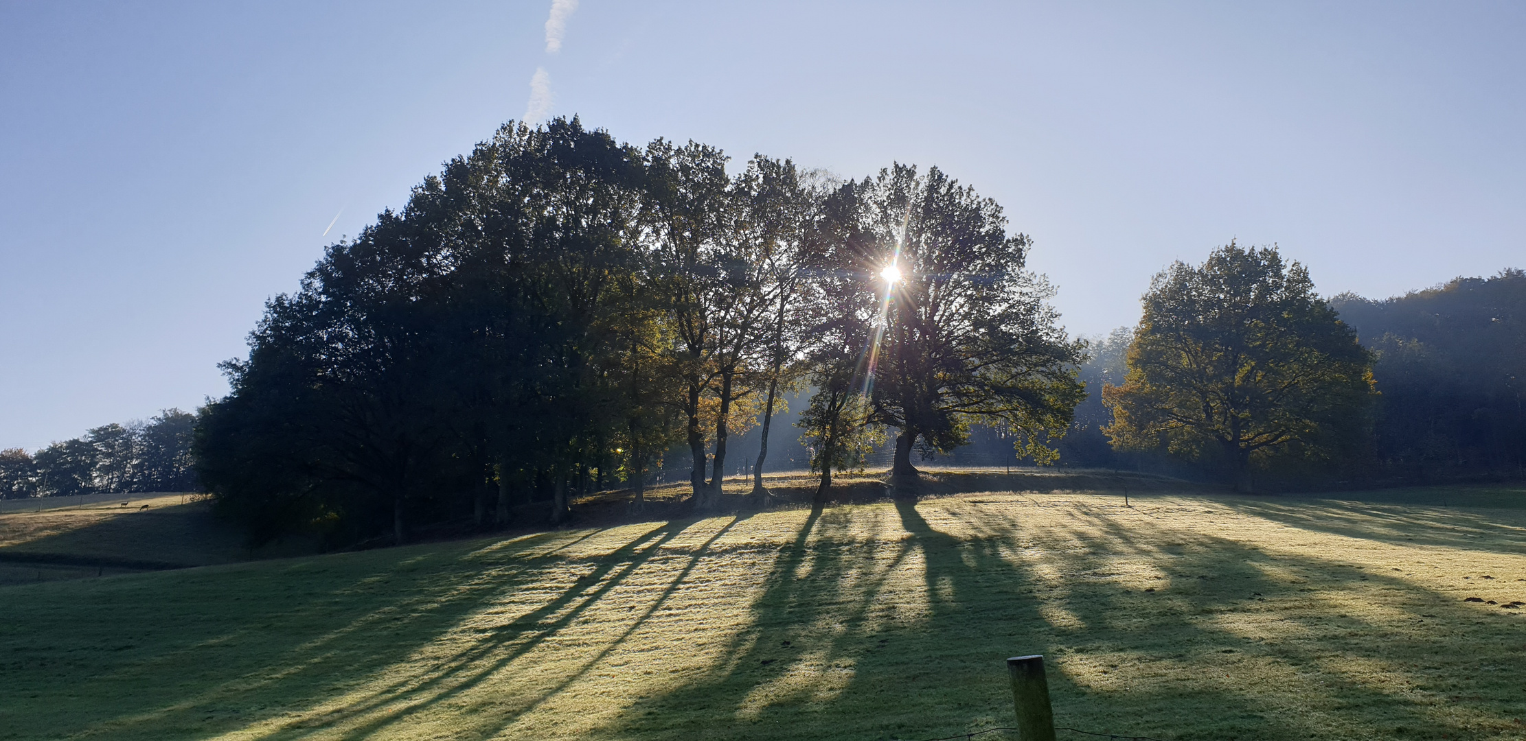 Herbstlich 