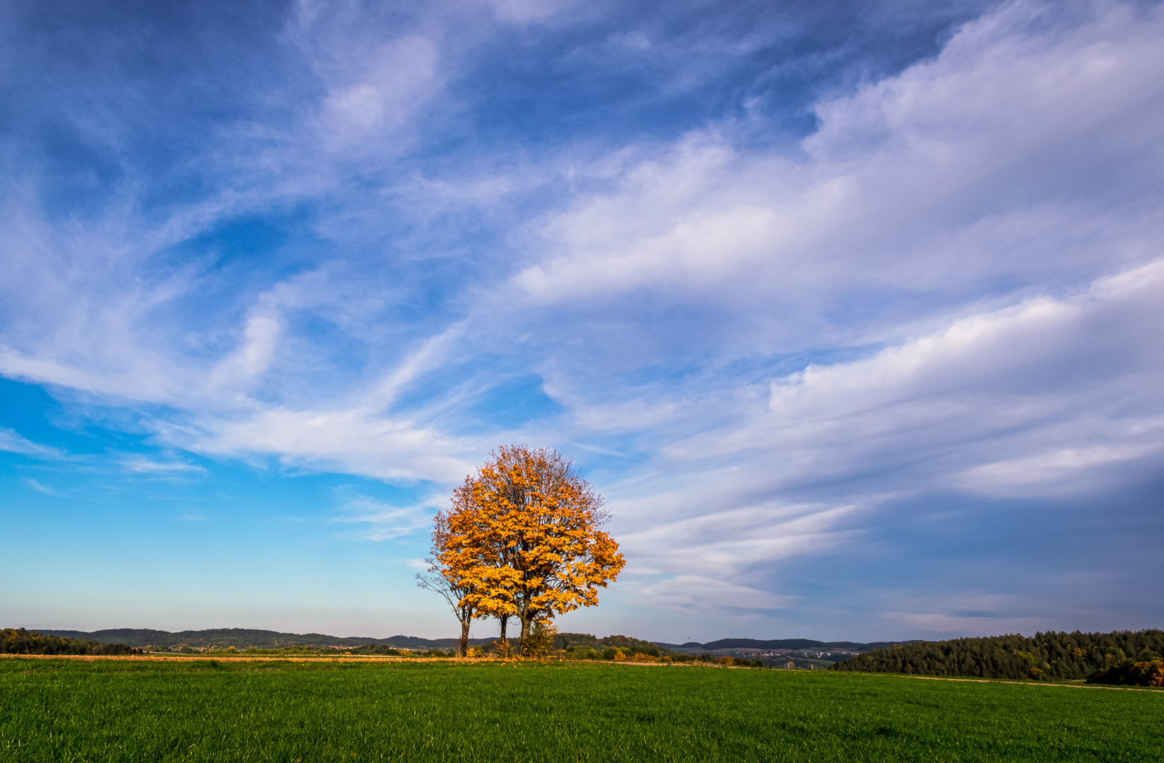 Herbstlich