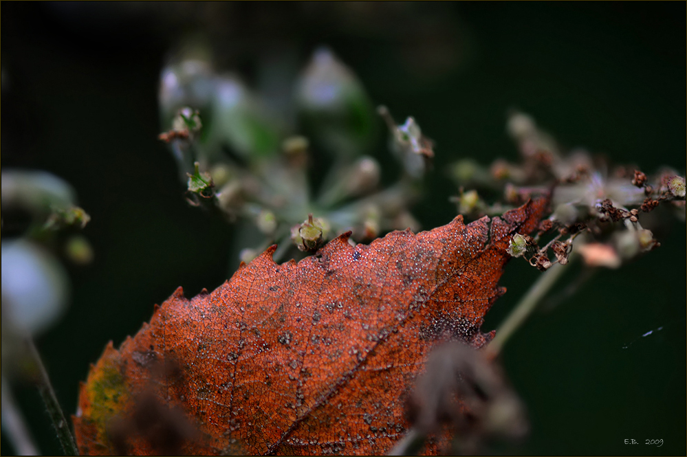 herbstlich