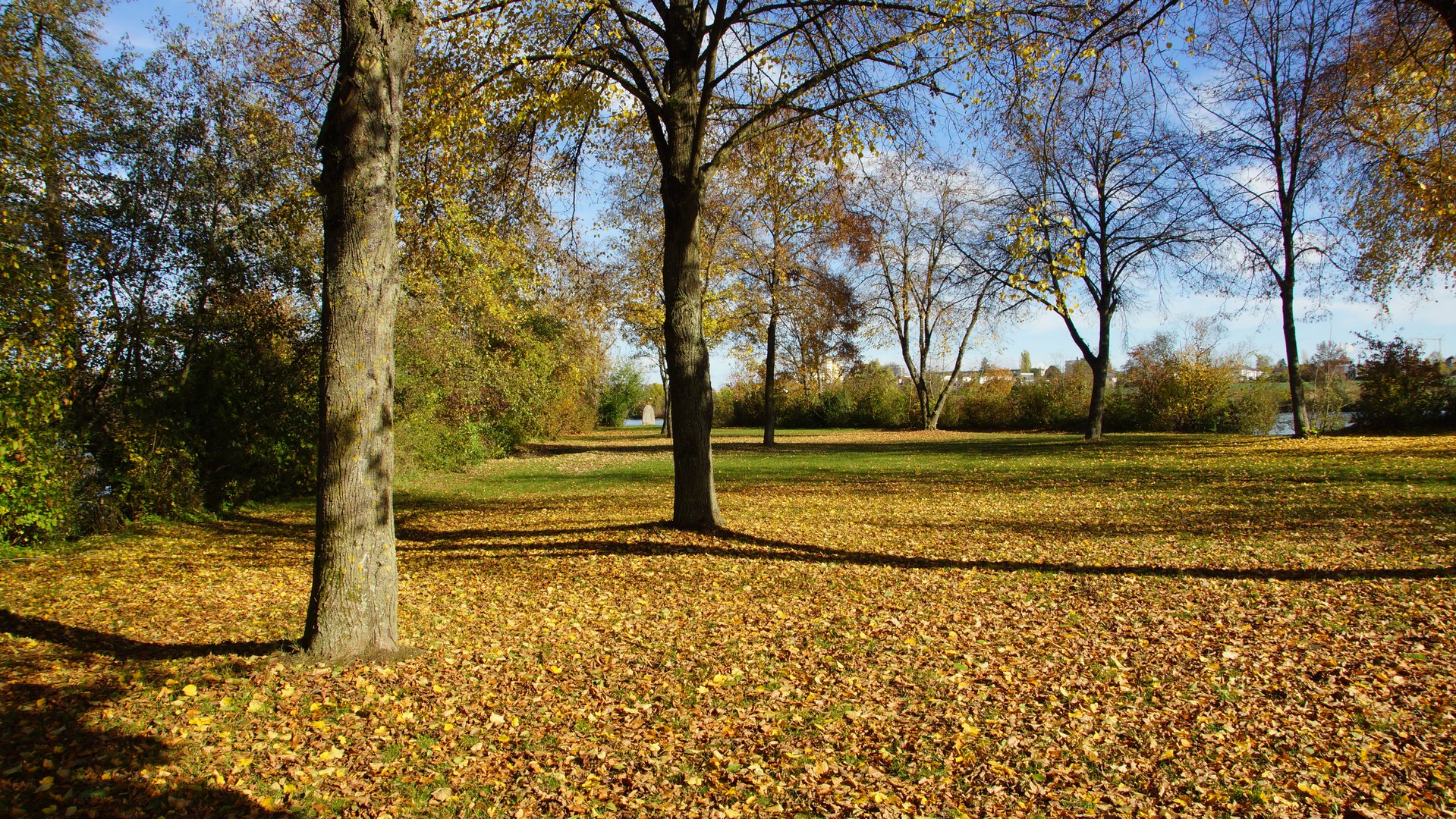 Herbstlich