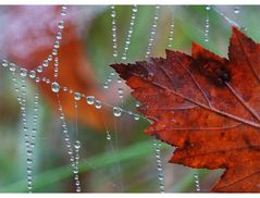 herbstlich