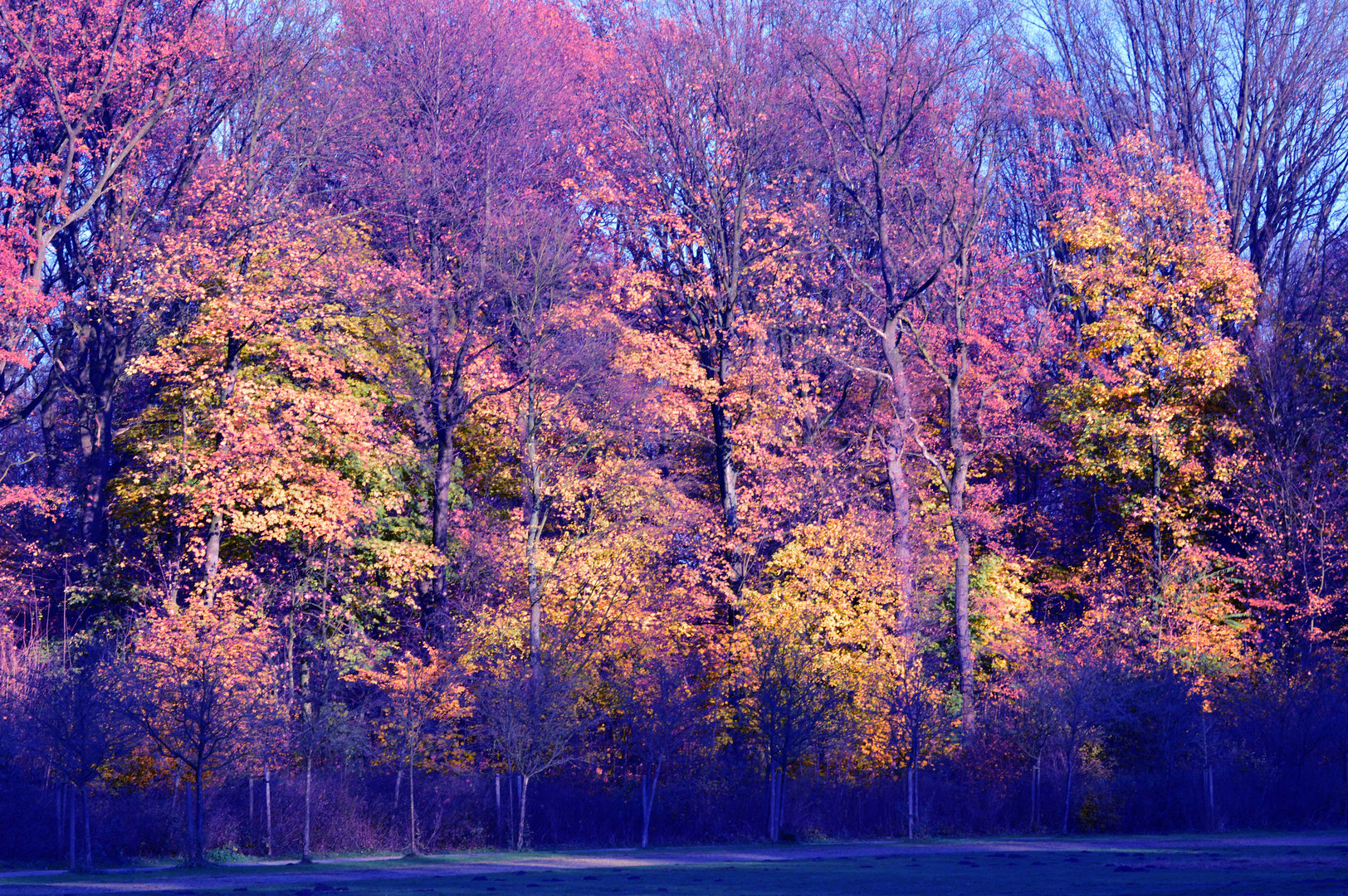 Herbstlich