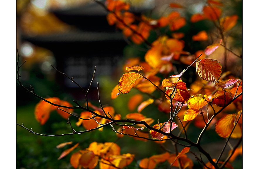 Herbstlich !!