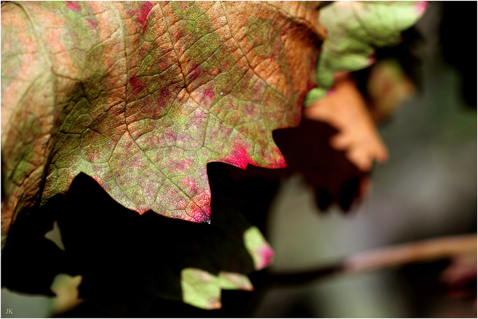 herbstlich