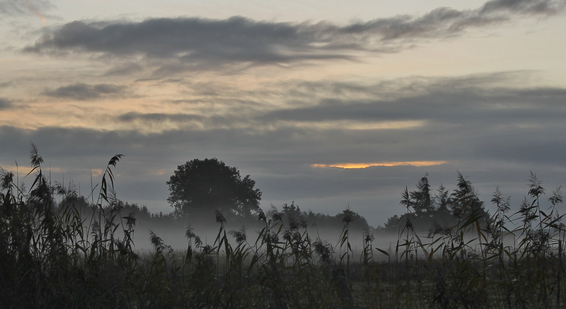 Herbstlich