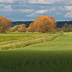 Herbstlich