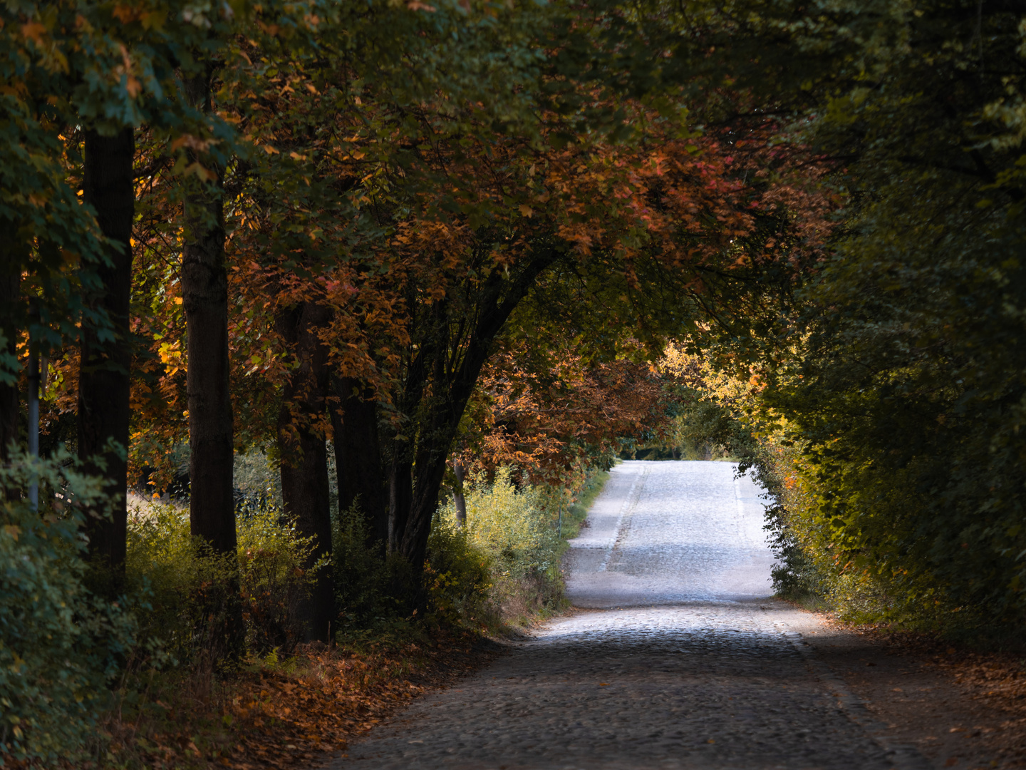 herbstlich