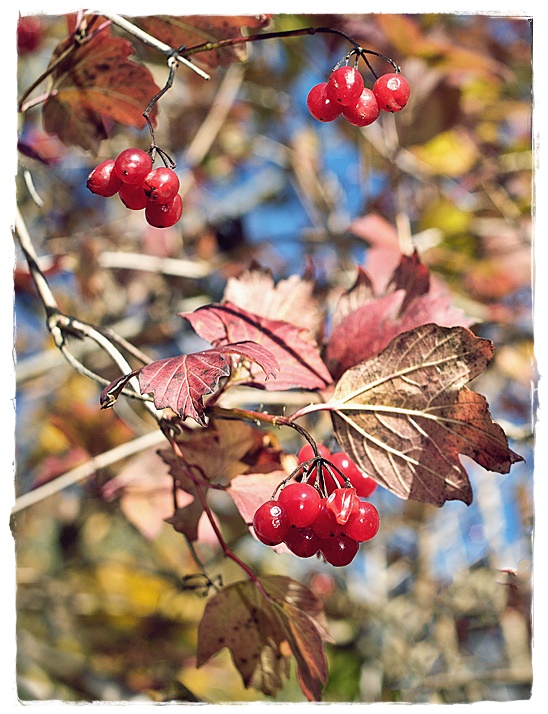 herbstlich