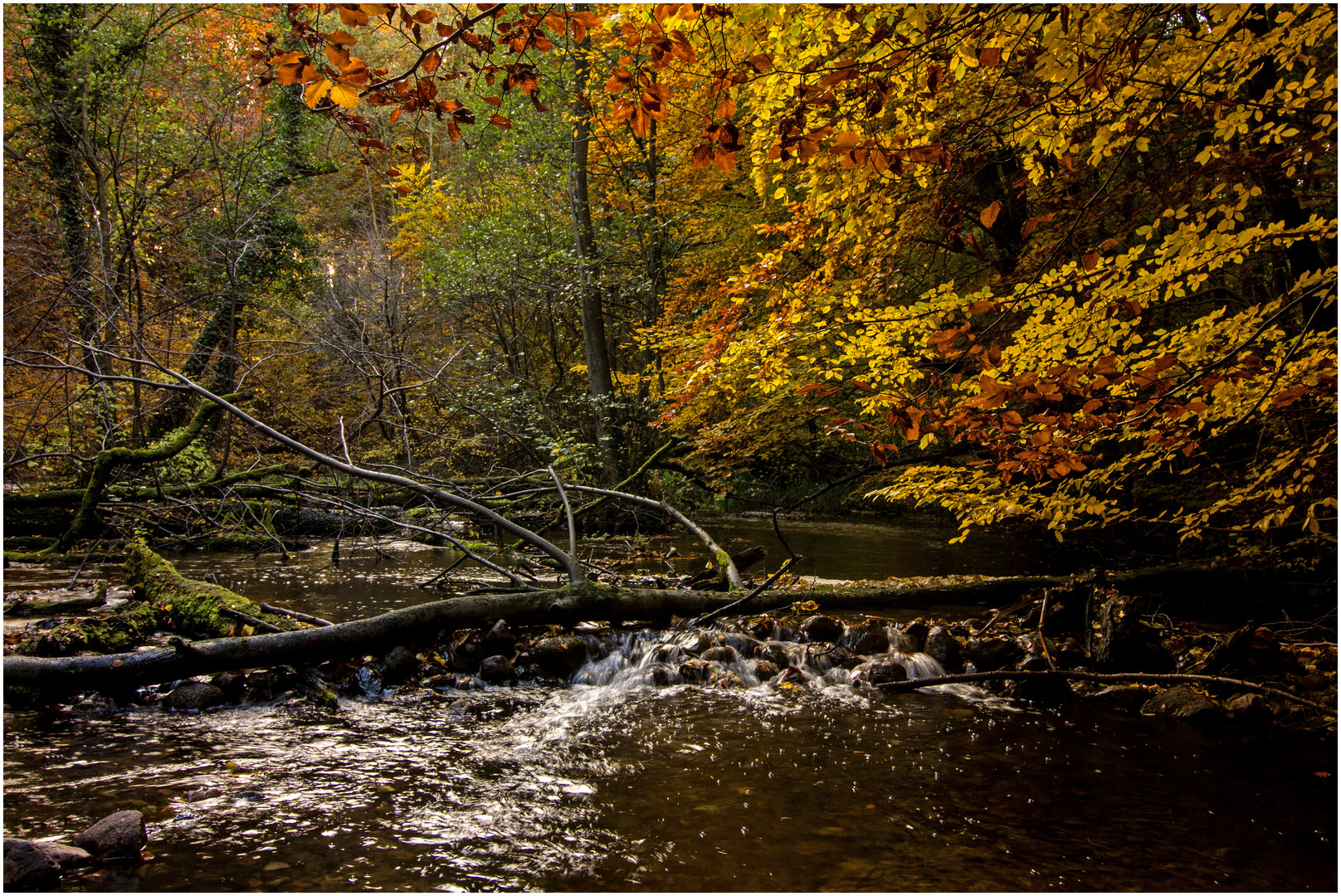 HERBSTLICH