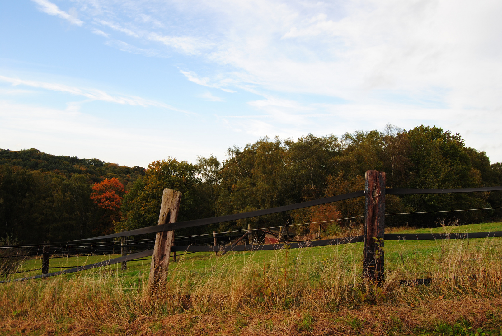 Herbstlich