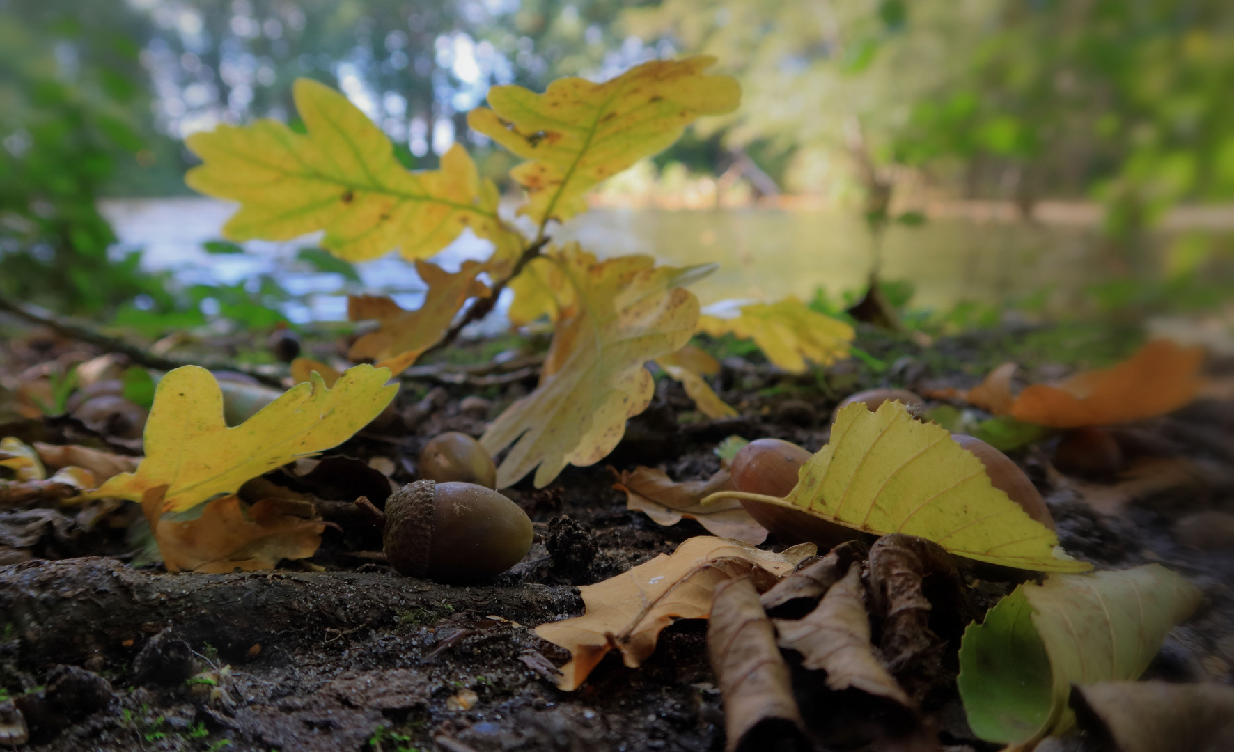 Herbstlich