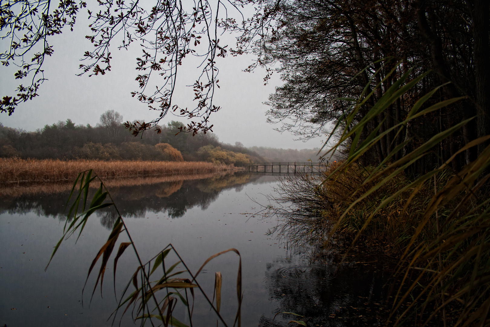 herbstlich