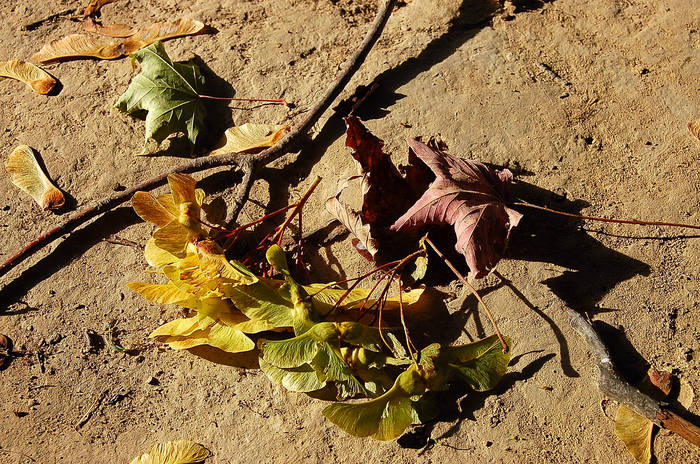 Herbstlich...