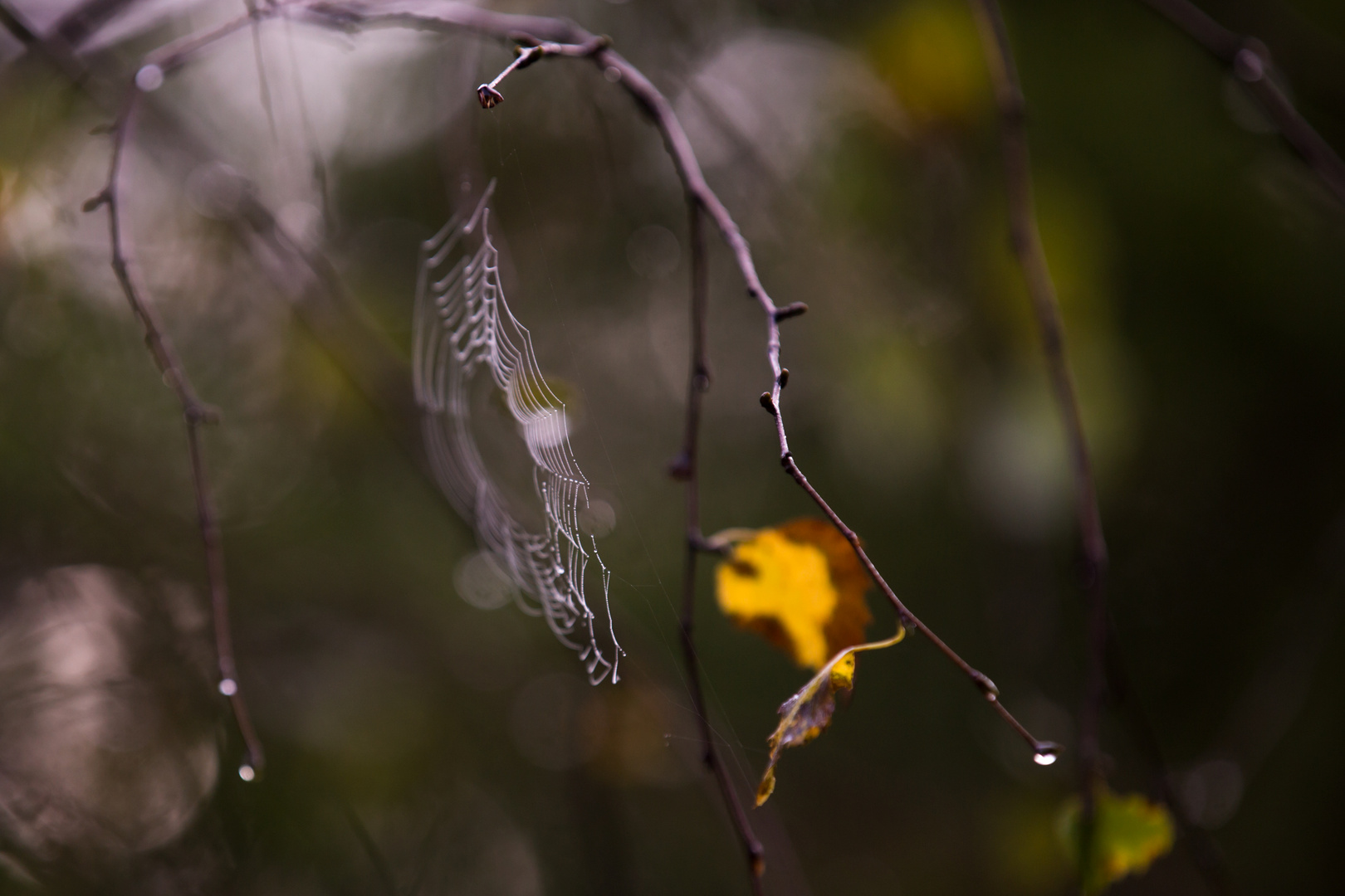 herbstlich