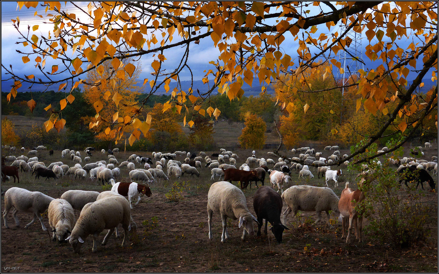 Herbstlich...