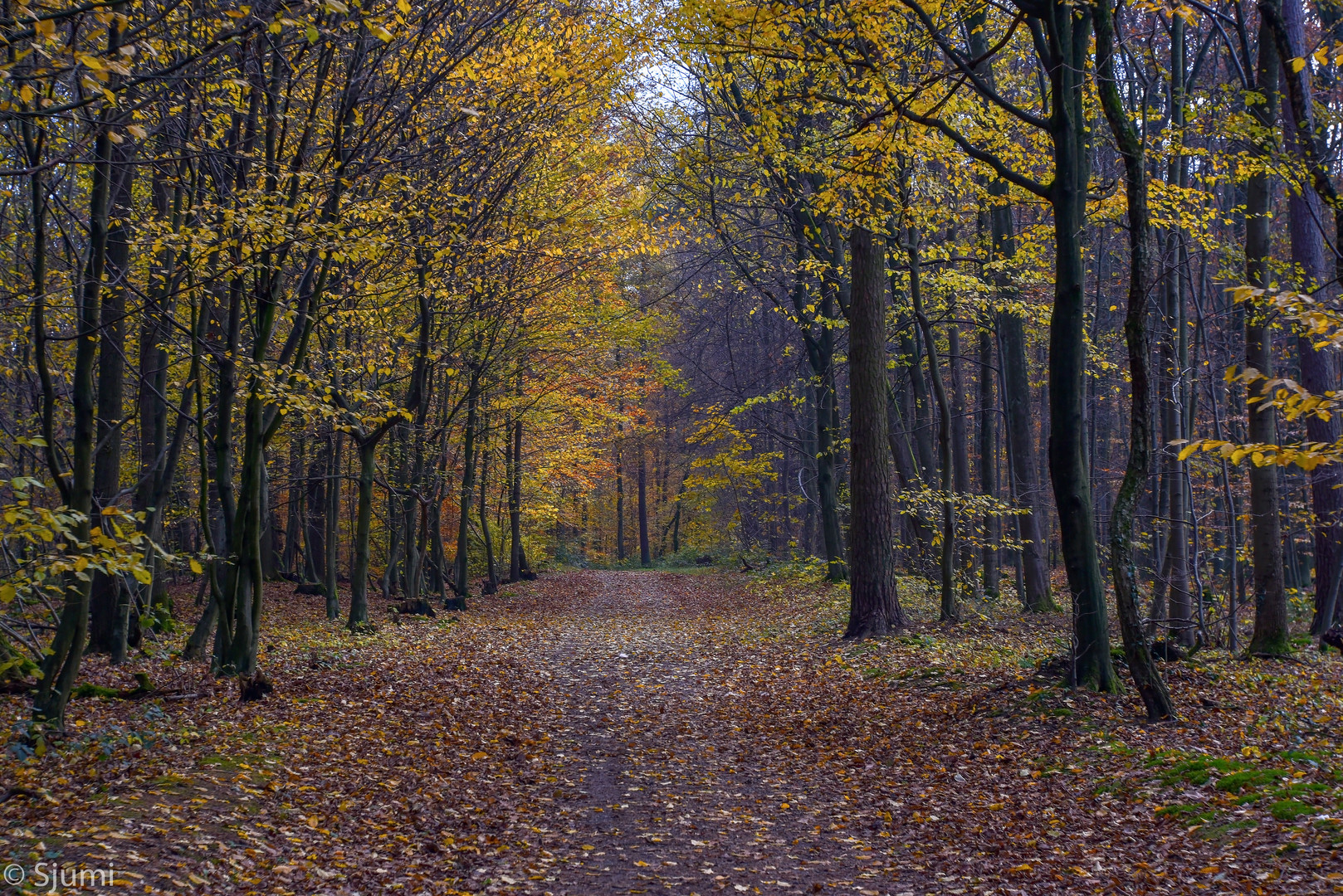 Herbstlich....