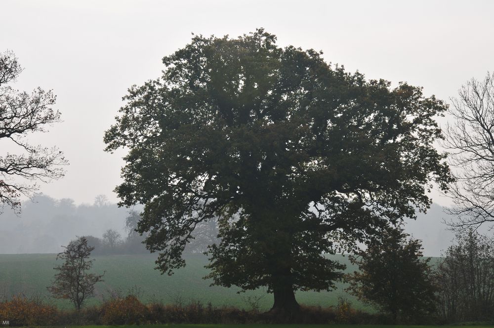 herbstlich