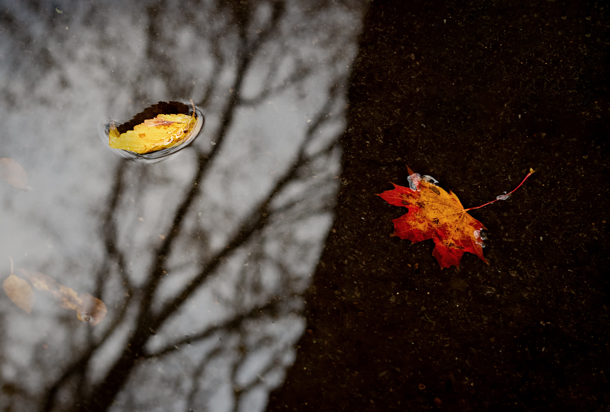 herbstlich