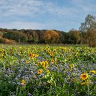 Herbstlich