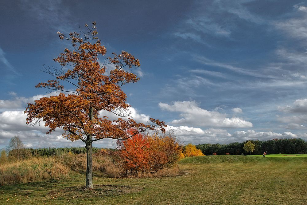 Herbstlich....