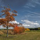 Herbstlich....