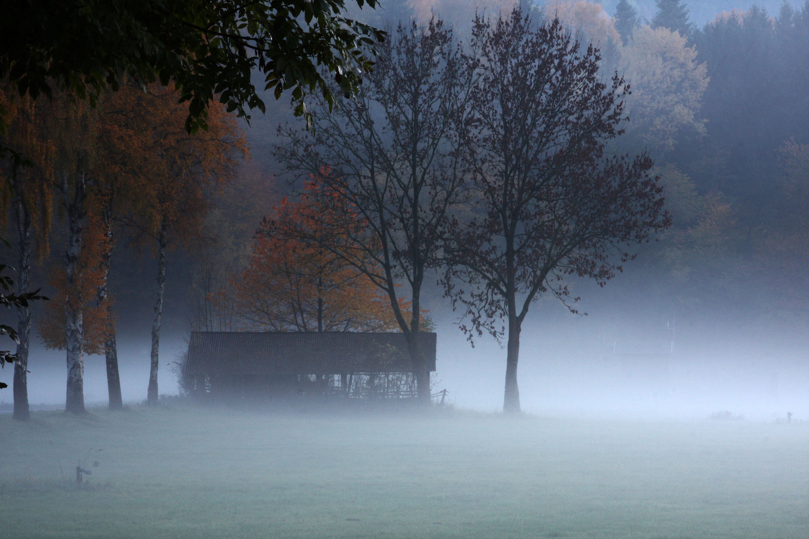 Herbstlich