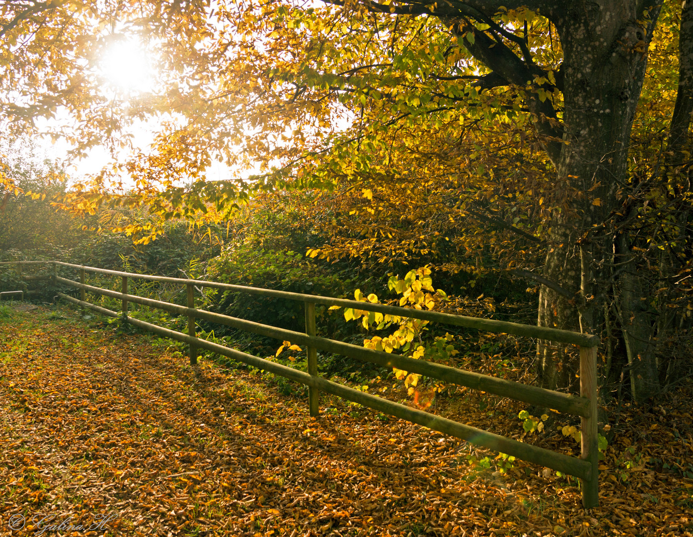 Herbstlich