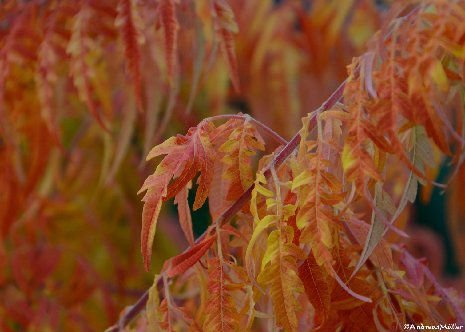 herbstlich