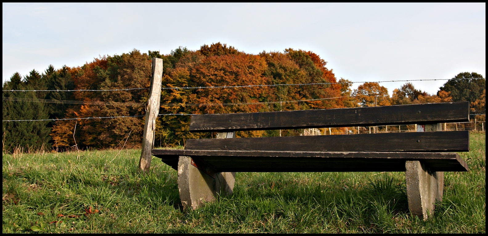 Herbstlich