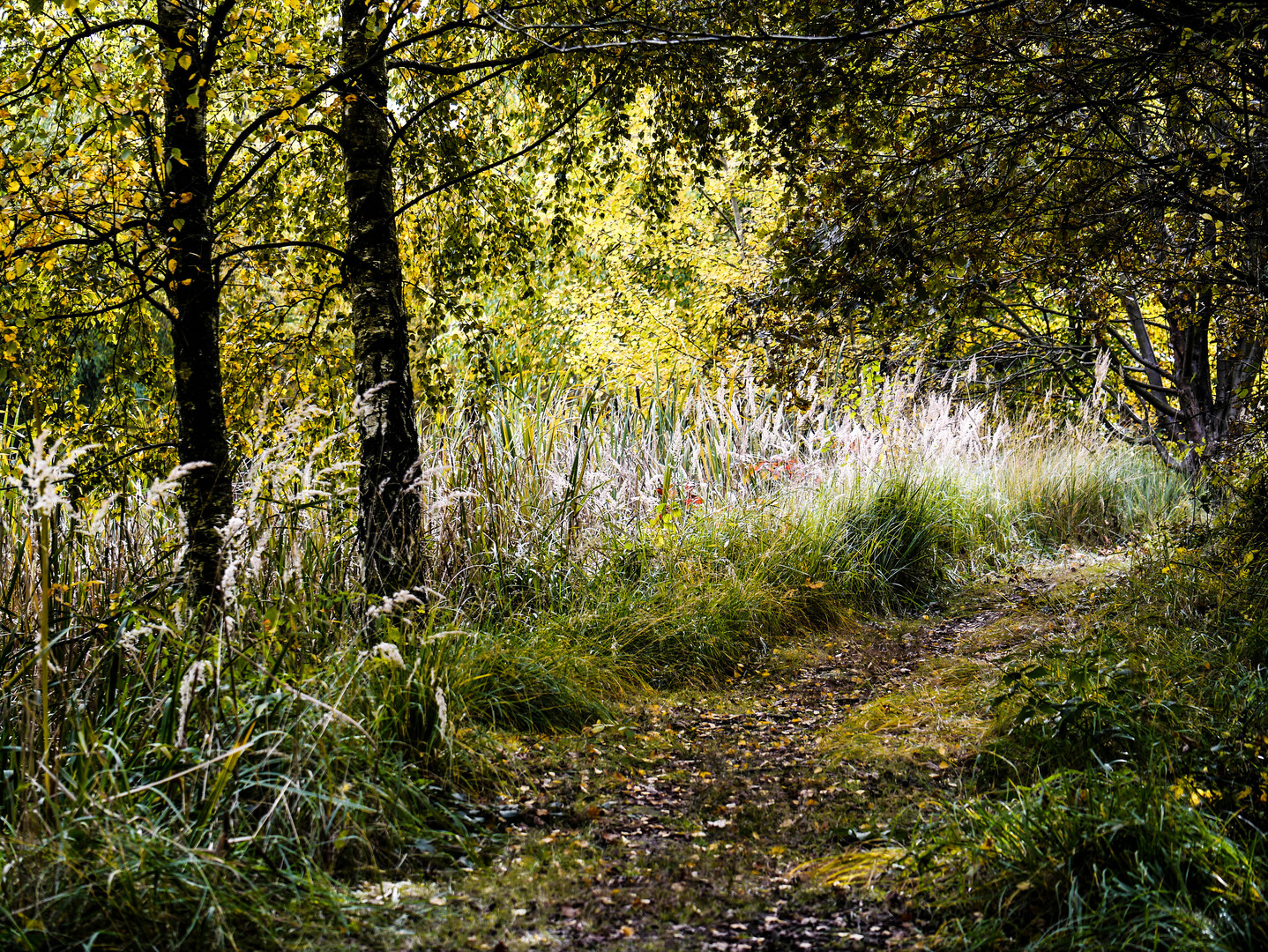 Herbstlich...