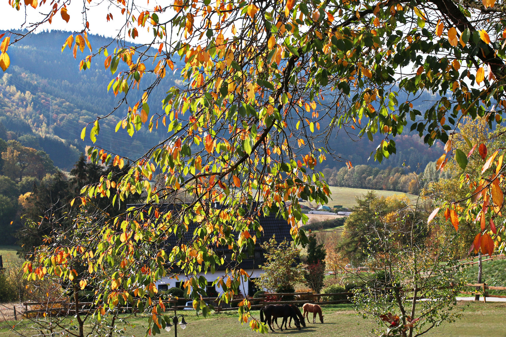 herbstlich