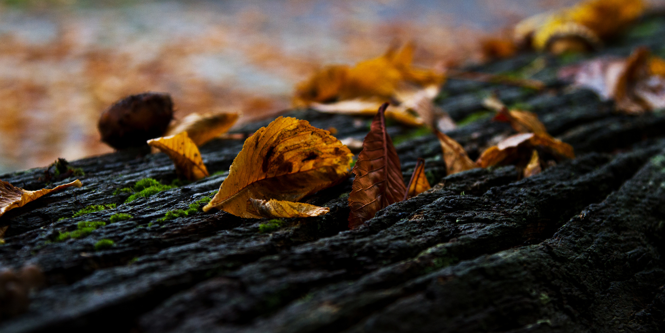 herbstlich