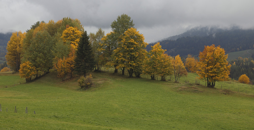 Herbstlich