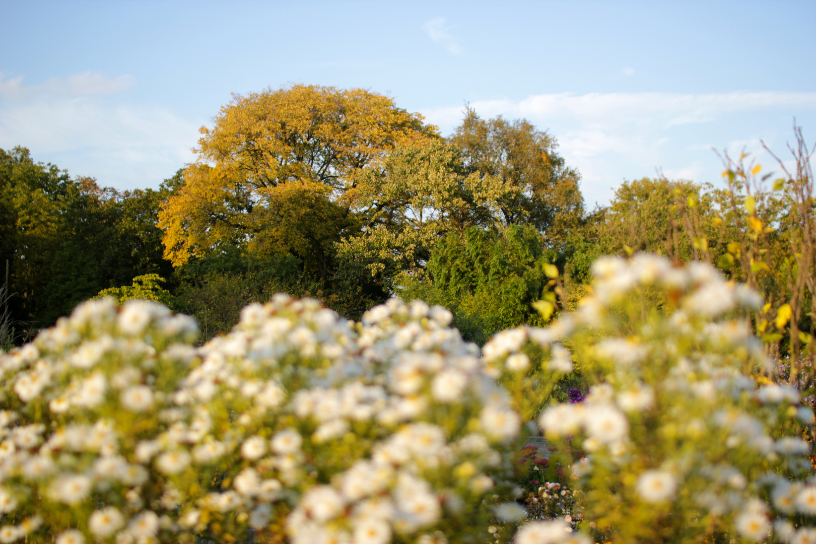 herbstlich