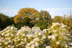 herbstlich