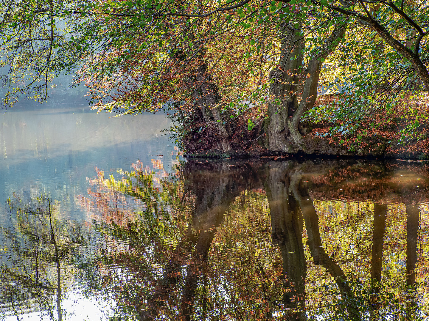 Herbstlich