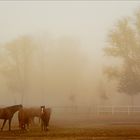 Herbstlich