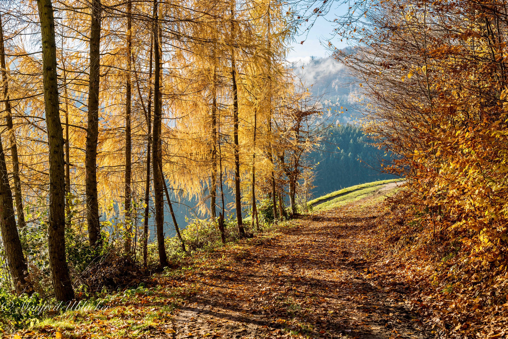 herbstlich ...