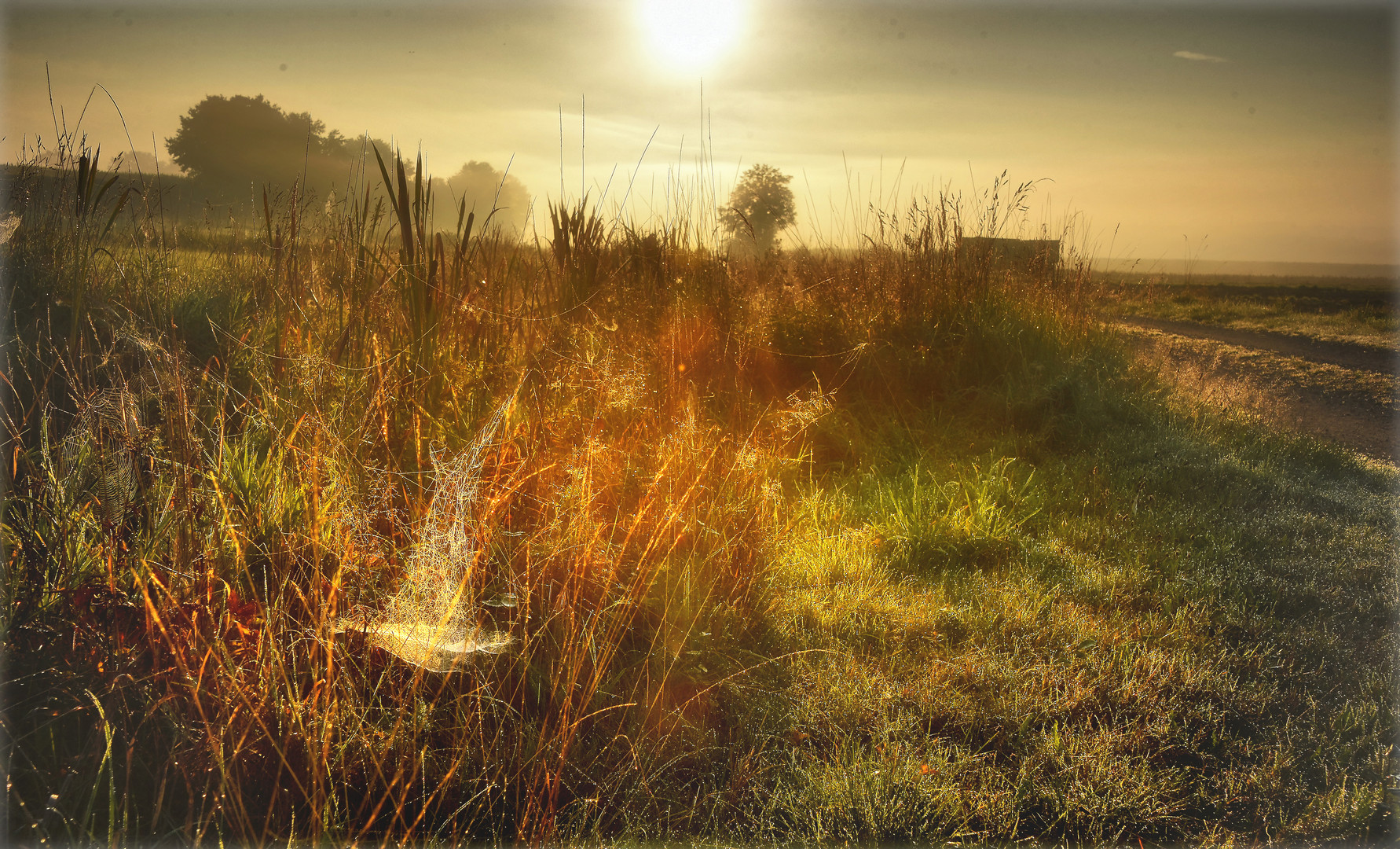 herbstlich