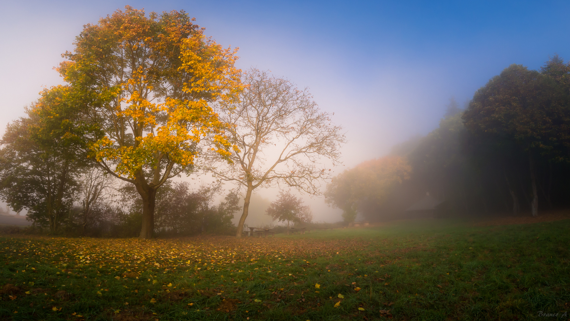 Herbstlich