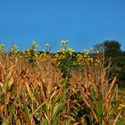 Herbstlich