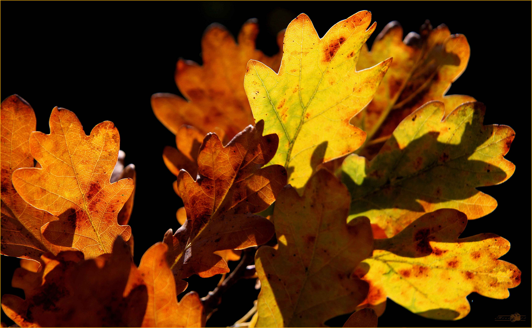 herbstlich