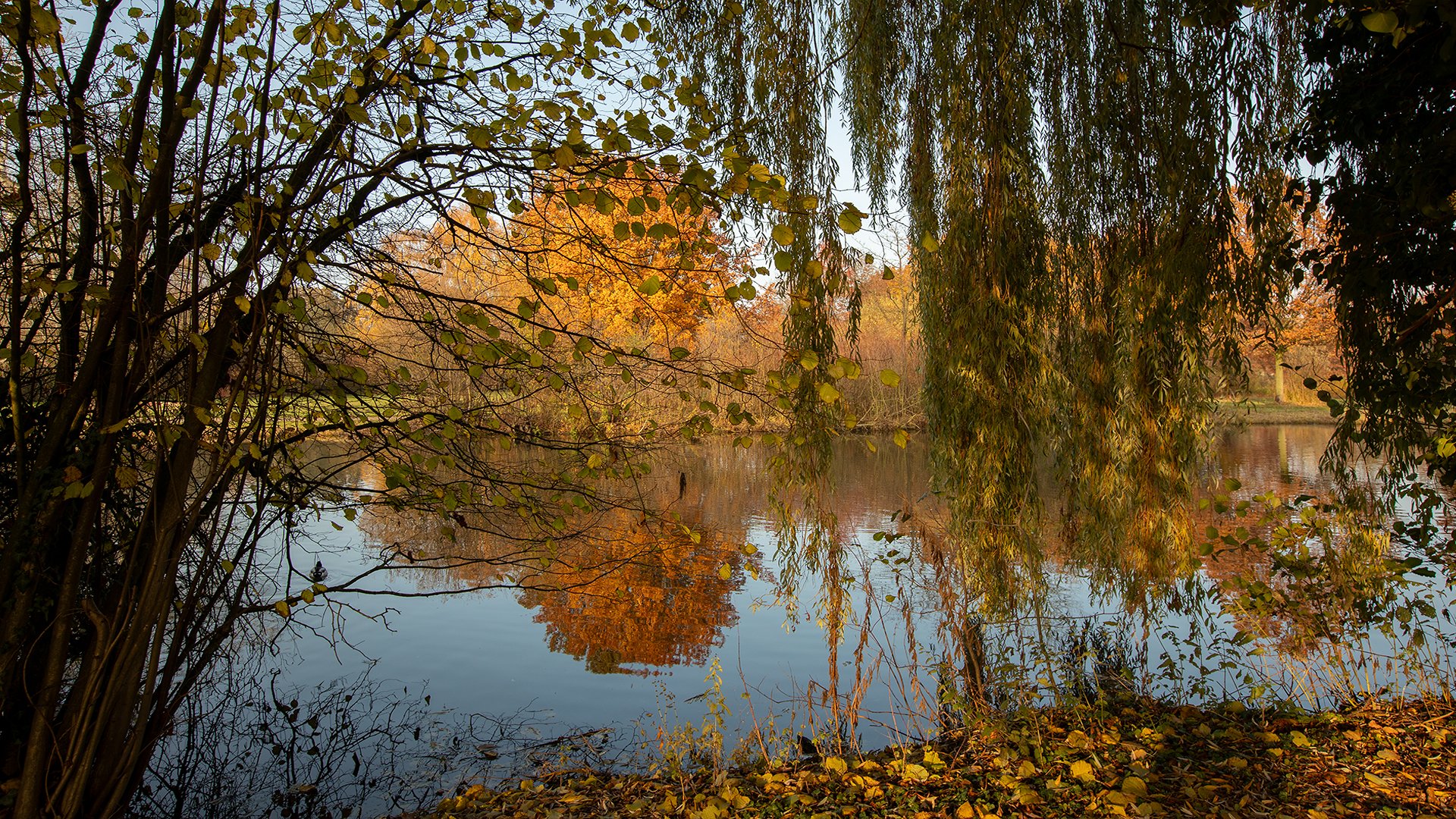 Herbstlich