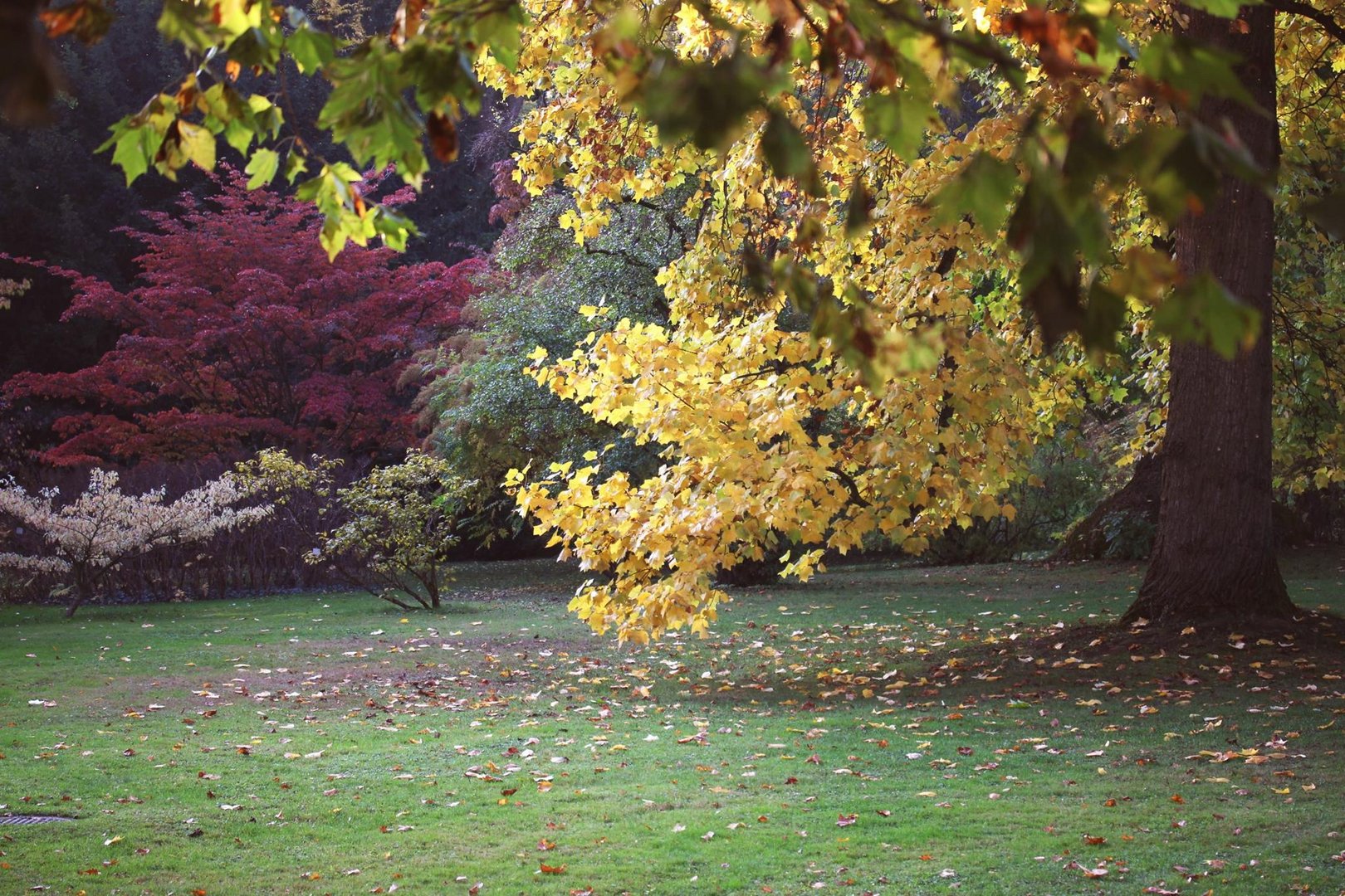 herbstlich