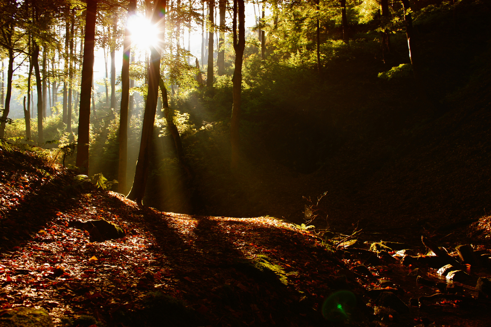 Herbstlich