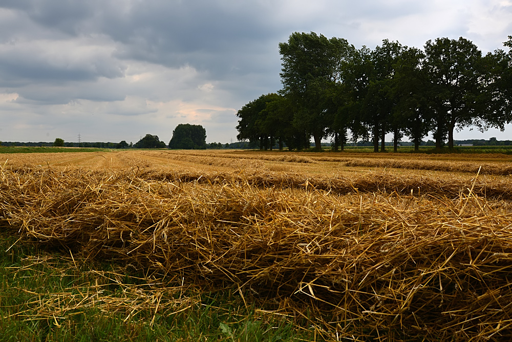 Herbstlich...