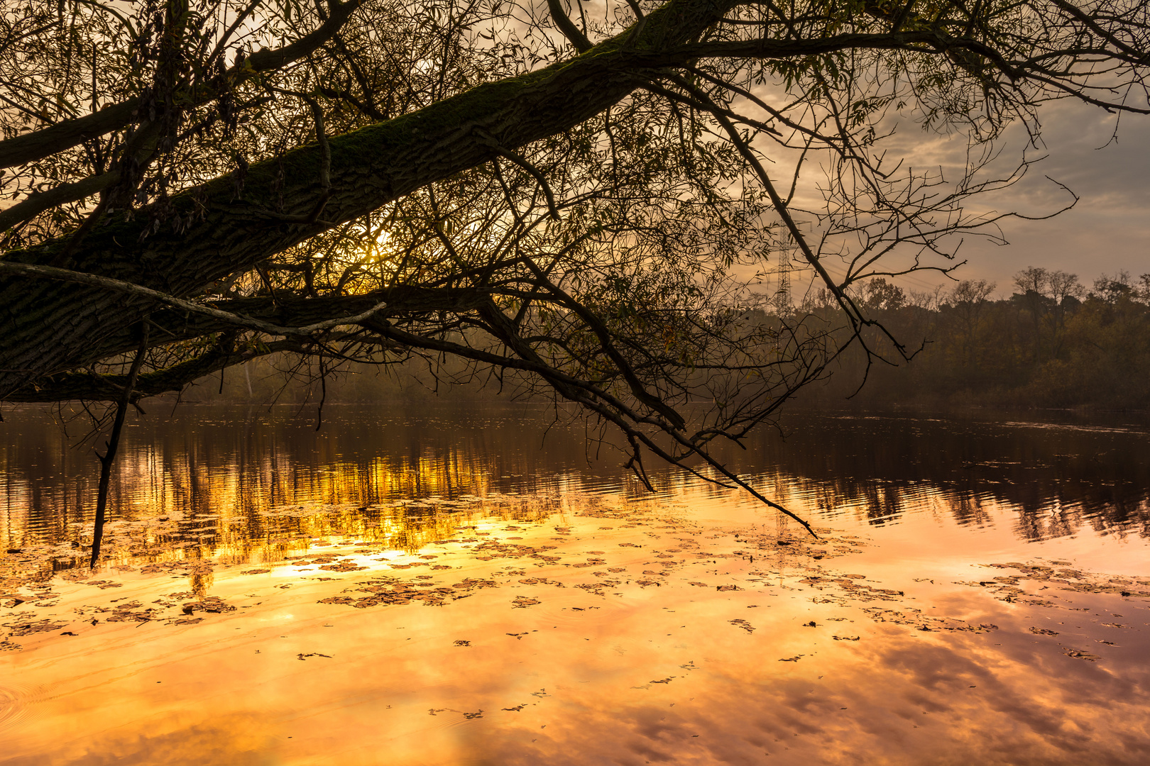 Herbstlich